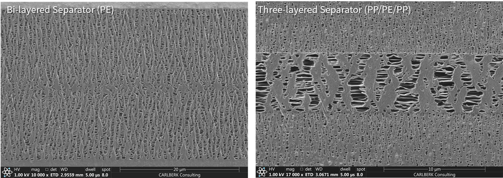 Visualization of Internal Structure of Battery Separator