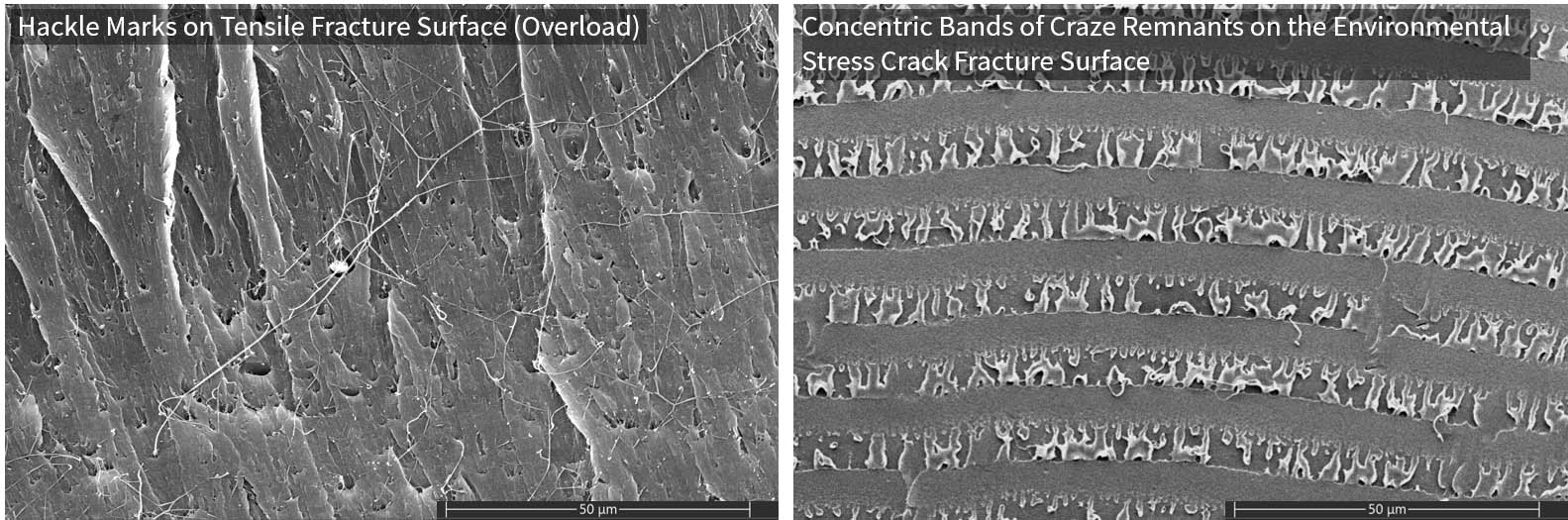 Fracture Surface of Polycarbonate Failed under Different Mechanism