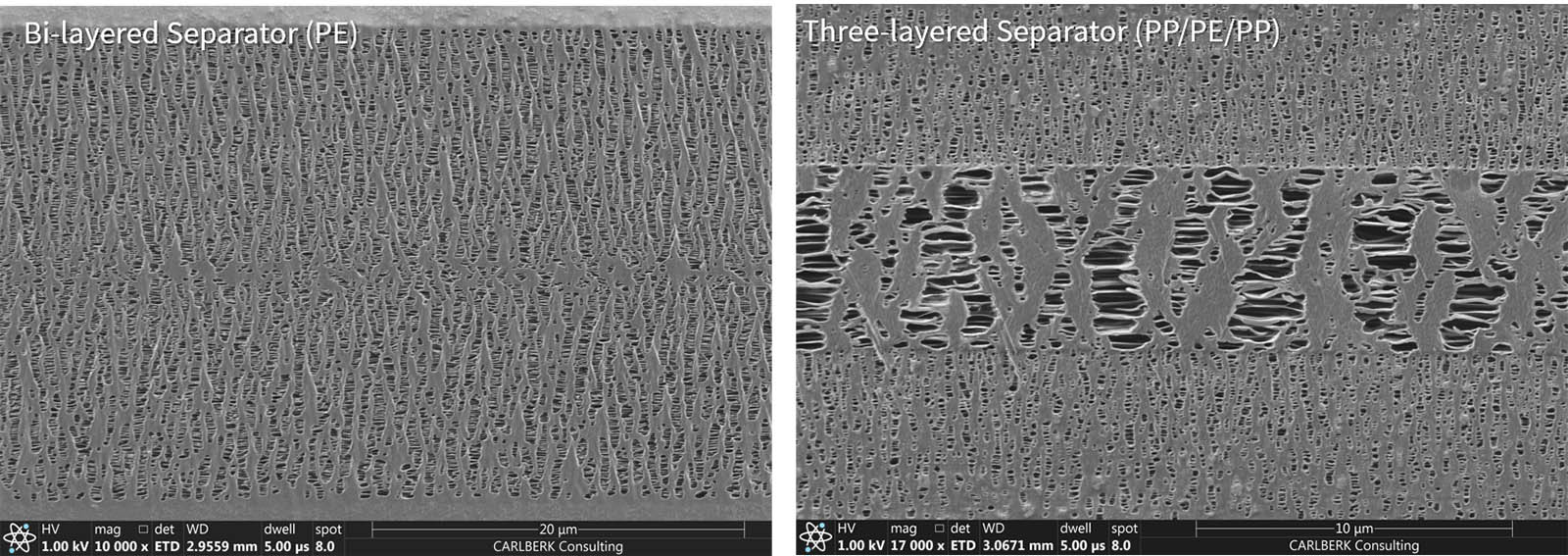 BVisualization of Internal Structure of Battery Separator