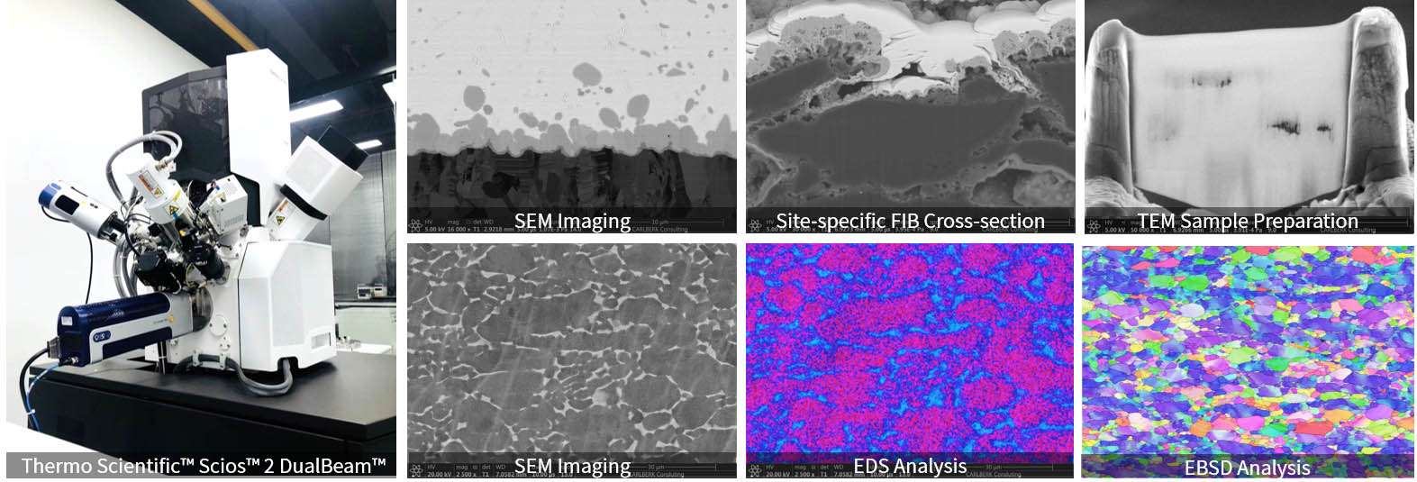 Cryo-FIB/SEM Workstation